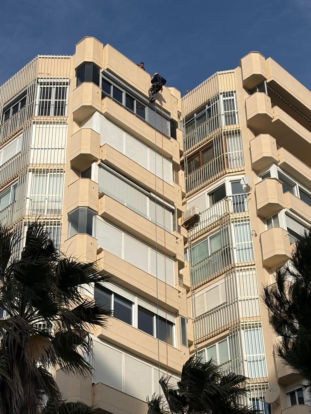 Edificio con palmeras